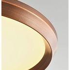 ANTIQUE BRANCHES PENDANT LIGHTING | CLXGT52P