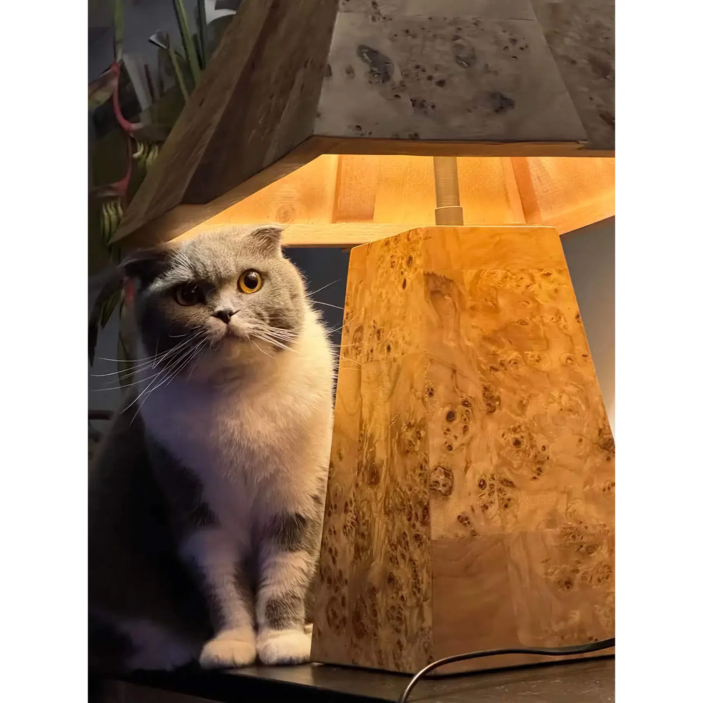 BURL WOOD TABLE LAMP | CLBURL036D