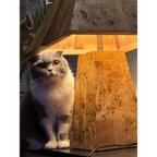 BURL WOOD TABLE LAMP | CLBURL036D