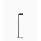 CASA FLOOR LAMPS | CLGTR196