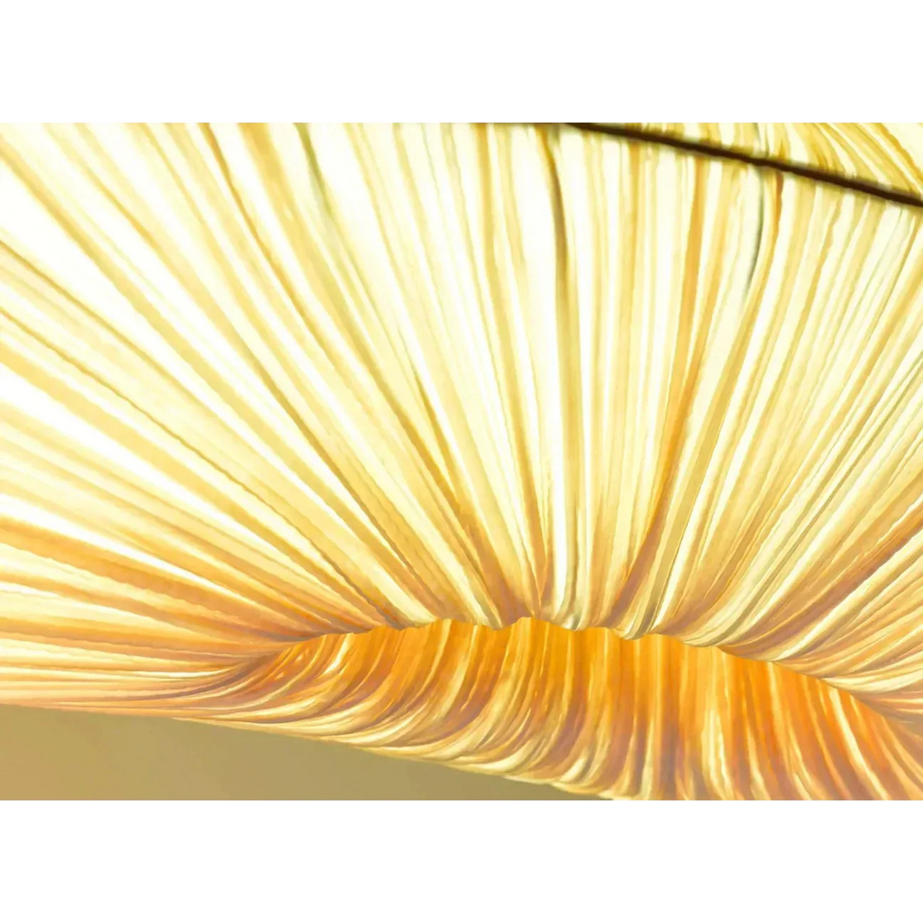 HANDCRAFTED MARINE CLOTH CHANDELIER | CL7496303