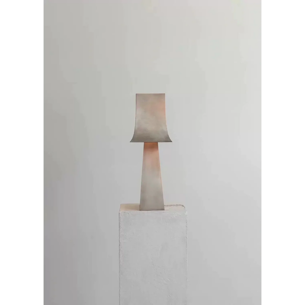 INDUSTRIAL STAINLESS STEEL TABLE LAMP | DESIGN CLBV5000