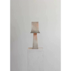 INDUSTRIAL STAINLESS STEEL TABLE LAMP | DESIGN CLBV5000