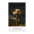 MODERN COPPER LED CEILING LAMP | CL33325