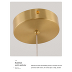 MODERN LED HANGING LIGHTS | CL789503