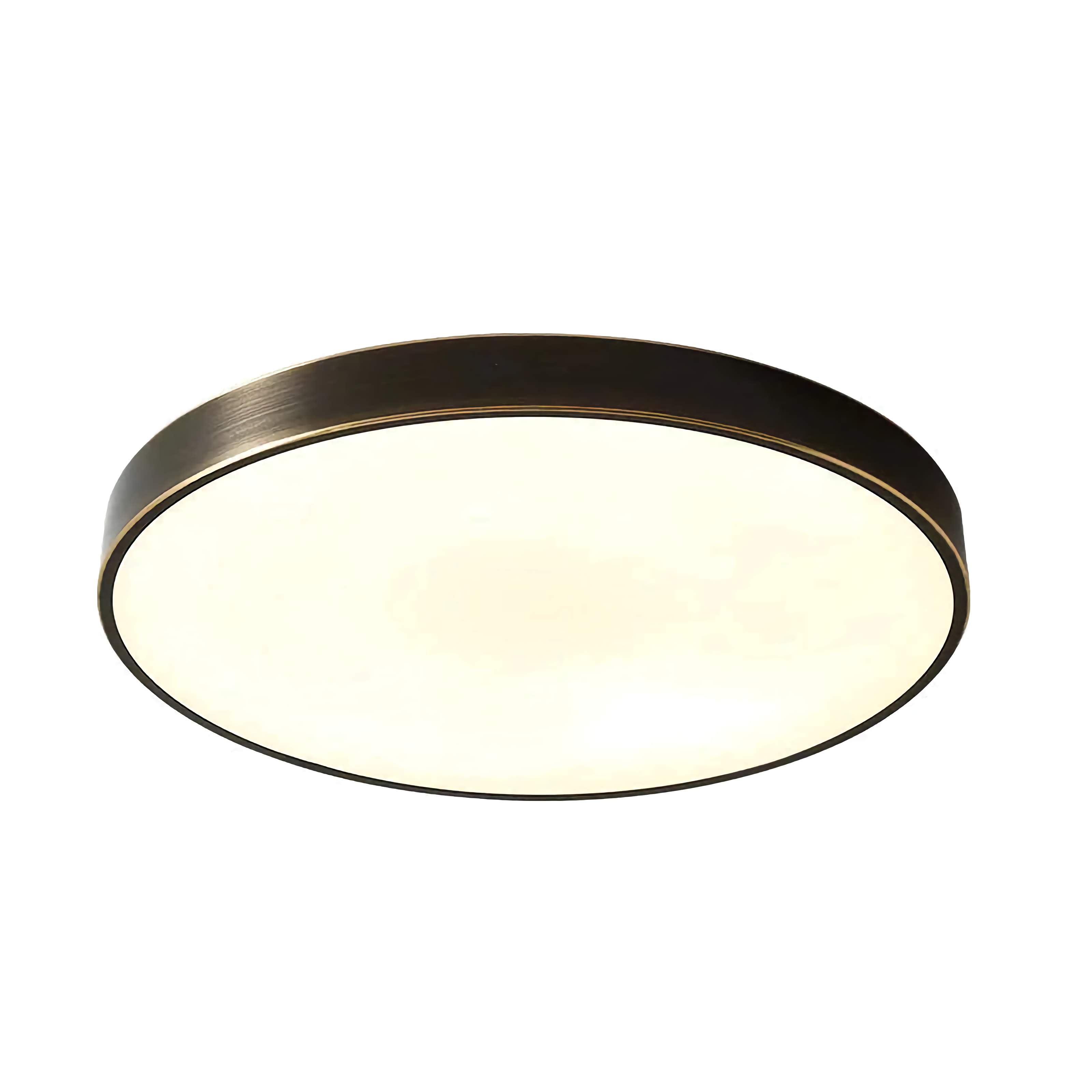MODERN MINIMALISM BLACK COPPER FLUSH MOUNT CEILING LIGHT
