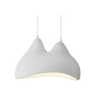 MODERN SCULPTURAL PENDANT LIGHT | CLBN67655