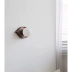 OCCHIO WALNUT WALL LAMP | CLDF58557