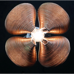 ROSE GOLD CLOVER MESH CHANDELIER | CLFT85200B