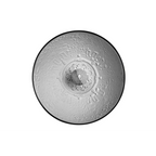 SKYGARDEN DESIGN DOME PENDANT LIGHT