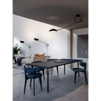 SWING CEILING LAMP | CLKJ9876